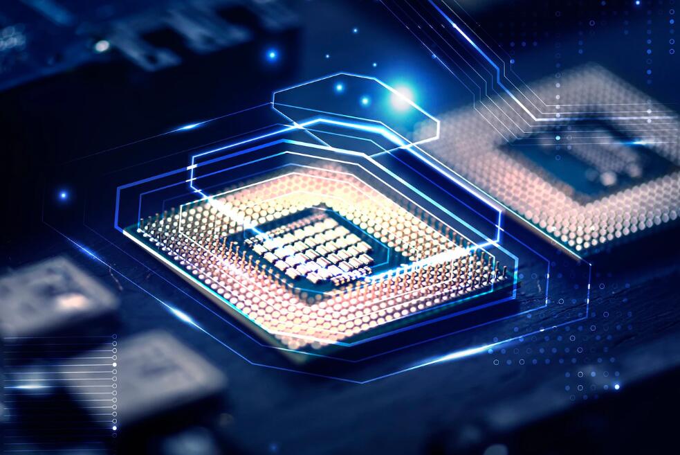 有谁知道《下水道美人鱼》到底有几个版本啊 下水道的美人鱼照片